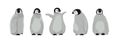 A set of realistic chic imperial penguins in different poses. Arctic birds and Australia. Vector illustration